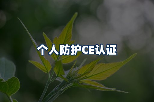 个人防护CE认证